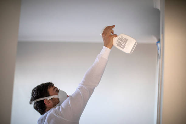 Best Home Mold Removal  in Unionville, NC
