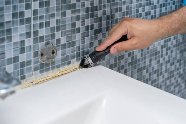 Best Toxic Mold Removal  in Unionville, NC